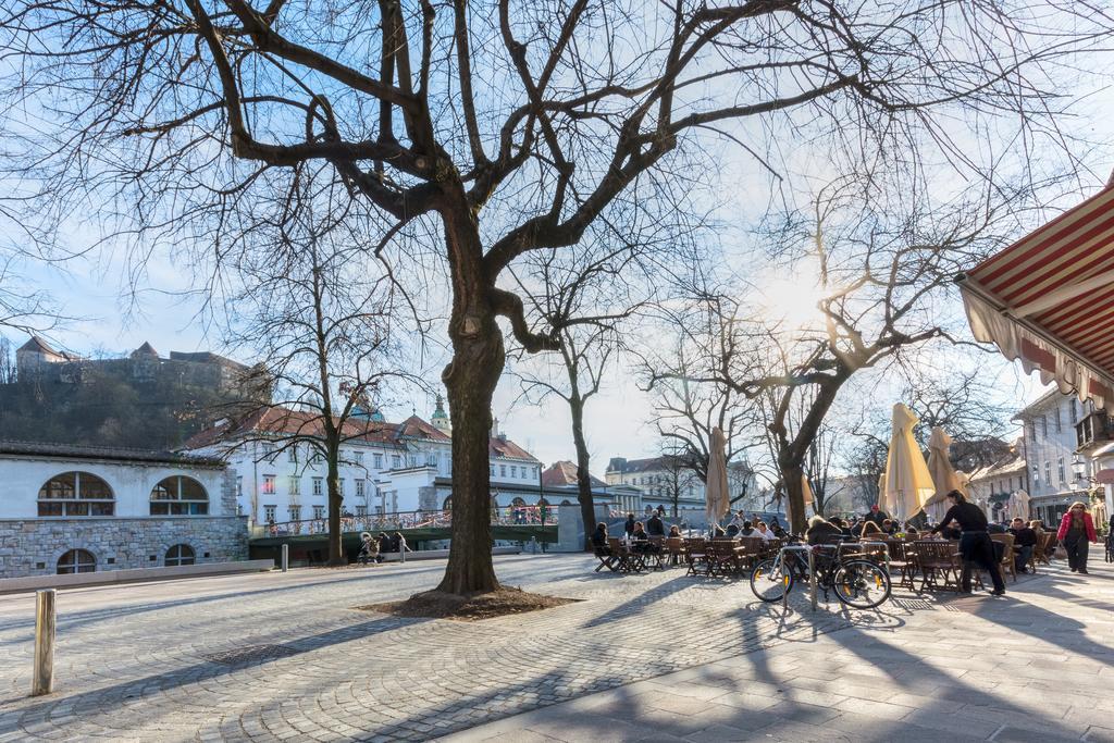 Old Town Apartments 류블랴나 객실 사진
